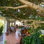 Casa Del Mir Tegueste